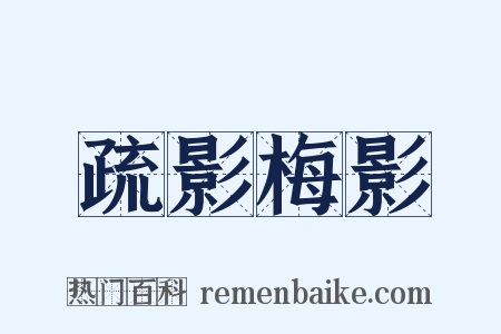 疏影梅影是什么意思的图片